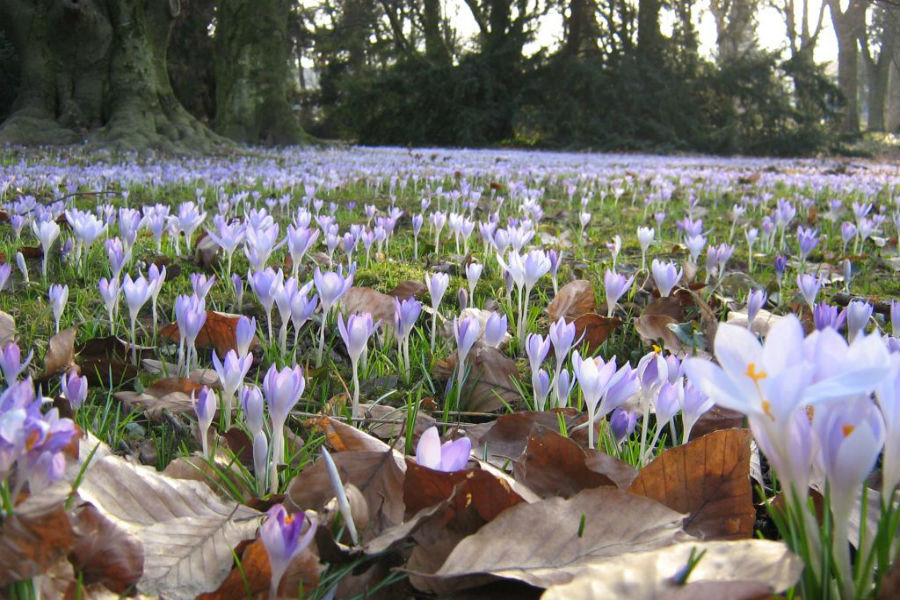 Sellye termalfurdo.hu